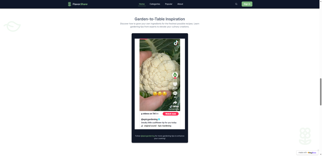 Example usage of Tiktok Video