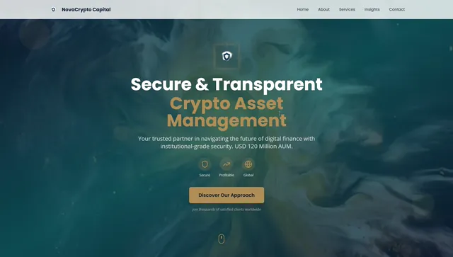 Professional Service Website Example